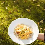 Dwor - House Of Rosenthal