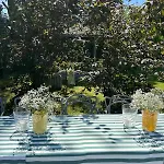 Dwor - House Of Rosenthal *