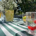 Dwor - House Of Rosenthal Podstolice