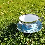 Villa Dwor - House Of Rosenthal Podstolice