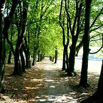 Dwor - House Of Rosenthal