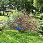 Dwor - House Of Rosenthal Podstolice