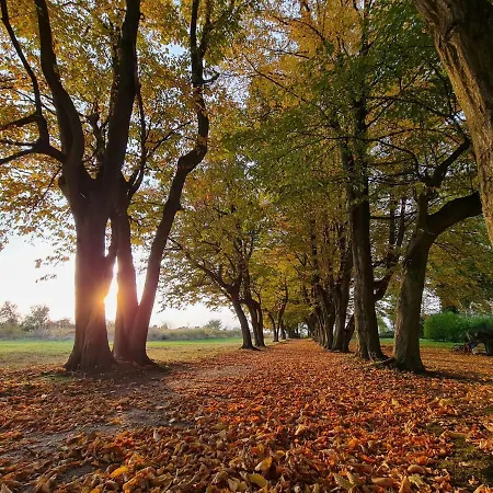 Βίλα Dwor - House Of Rosenthal *