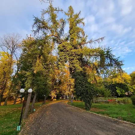 Dwor - House Of Rosenthal Vila Podstolice