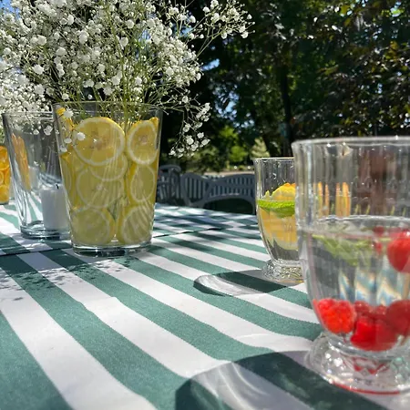 Dwor - House Of Rosenthal Podstolice