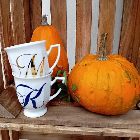 Dwor - House Of Rosenthal Villa