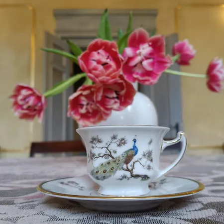 Dwor - House Of Rosenthal Podstolice