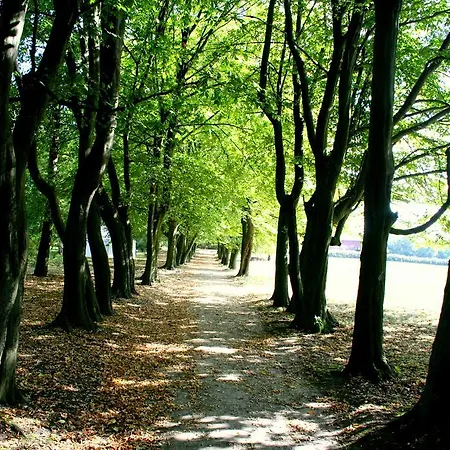 Dwor - House Of Rosenthal