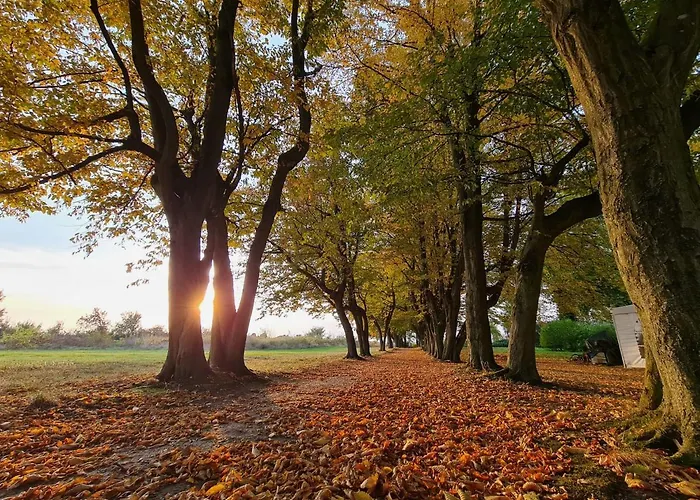 Villa Dwor - House Of Rosenthal *