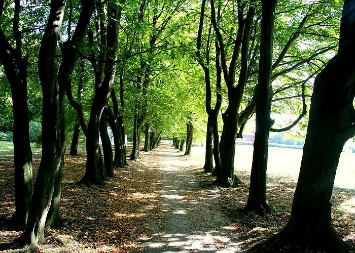 Dwor - House Of Rosenthal